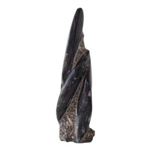 Orthoceras Fossil Tower